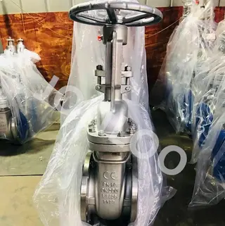 1.4408 Gate Valve DIN F4 Length PN16 DN200 Handwheel